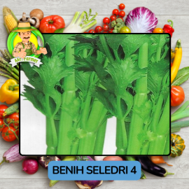 Benih Sayuran Seledri Bibit Biji Tanaman