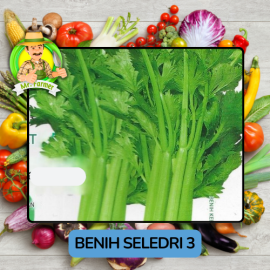 Benih Sayuran Seledri Bibit Biji Tanaman