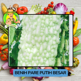 Benih Sayuran Pare Besar Putih Hijau Bibit Biji Tanaman