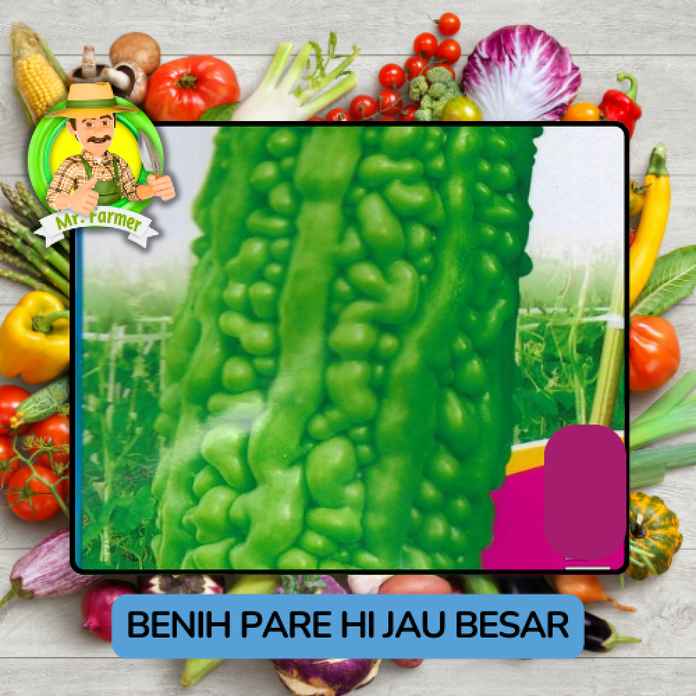 Benih Sayuran Pare Besar Putih Hijau Bibit Biji Tanaman