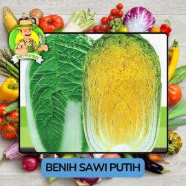 Benih Sayuran Sawi Hijau Putih Bibit Biji Tanaman