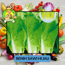 Benih Sayuran Sawi Hijau Putih Bibit Biji Tanaman
