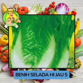 Benih Sayuran Selada Hijau Ungu Bibit Biji Tanaman