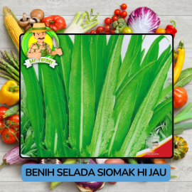 Benih Sayuran Selada Hijau Ungu Bibit Biji Tanaman