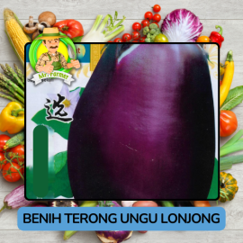 Benih Sayuran Terong Ungu Bibit Biji Tanaman