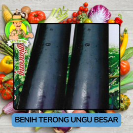 Benih Sayuran Terong Ungu Bibit Biji Tanaman