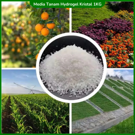 Hydrogel Super Kristal Media Tanam Hidrogel 1 KG
