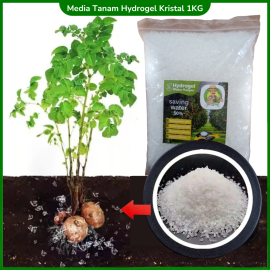 Hydrogel Super Kristal Media Tanam Hidrogel 1 KG