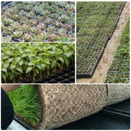 Tray Semai Sayuran Pot Benih Bibit Tanaman Hidroponik