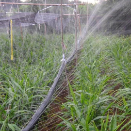 Selang Drip Irigasi Pertanian Ukuran 2 inch Panjang 100 Meter