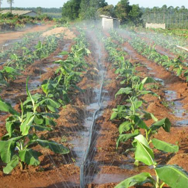 Selang Drip Irigasi Pertanian Pipa 1 inch Panjang 100 Meter