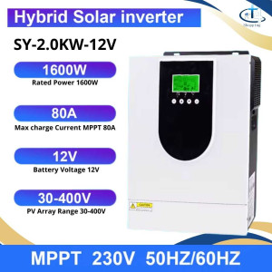 Inverter Hybrid 12V 2000VA 1600W Solar Charger Inverter DC 12V to AC 220V