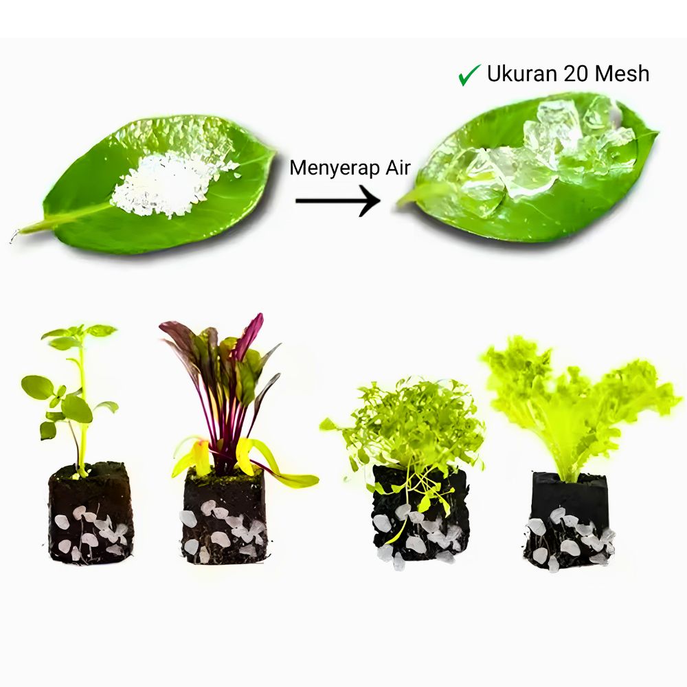 Hydrogel Kristal Super 1 Kg Media Tanam Pertanian Modern Solusi Tanah Kering & Lahan Pasir - Gambar 4