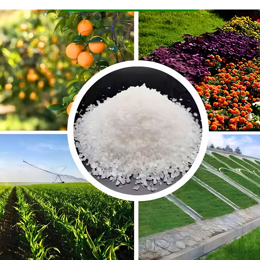 Hydrogel Kristal Super 1 Kg Media Tanam Pertanian Modern Solusi Tanah Kering & Lahan Pasir - Gambar 5